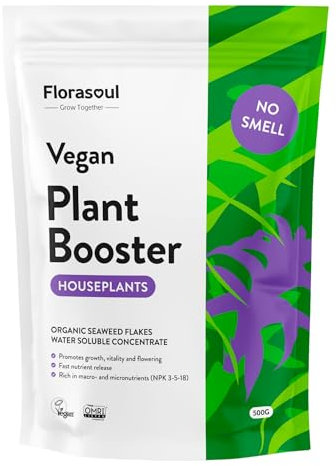 Florasoul® Engrais Plantes Vertes Intérieur Engrais Organique Vegan, Inodore, Jusqu'à 30% de Croissance et de Floraison Supplémentaire, Écologique, Durable et Efficace, Soluble dans l'Eau 500g/ 350l
