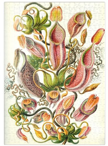 MyPuzzle Nepenthaceae - Kannenpflanze, Vintage Art Poster, Ernst Haeckel - Premium 500 Teile Puzzle - MyPuzzle Sonderkollektion von Havana Puzzle Company