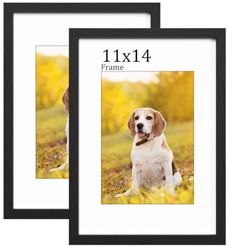 RUN HELIX 11x14 Rahmen Schwarz, Holz Bilderrahmen mit Passepartout, 10 x 12 Plakatrahmen mit Acrylglas, 35,6cm x 27,9cm Zertifikat für Tischplatte und Wandmontage