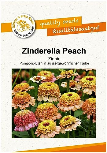 Blumensamen Zinderella Peach Zinnie Portion