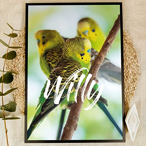Wellensittich Geschenk Holzbild - Foto Geschenk - personalisierbar zum Hinstellen/Aufhängen opt. beleuchtet Wellensittich Spielzeug, Wellensittich Zubehör, Wellensittiche - Persönliches Geschenke