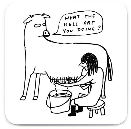 Official David Shrigley - Funny 'What The Hell Coaster' - Small Gift Ideas For Him Her - Friends Birthday - Housewarming Present - New Home Gift - Funny Gifts For Women Men - Sold By Brainbox Candy