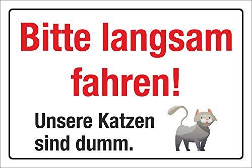 WERBEPUNKT. Schild Hinweisschild Bitte Langsam Fahren Katze ist dumm 3 mm Alu-Verbund 300 x 200 mm