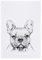 Geschirrtuch weiss, BULLDOGGE, grau
