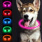 SONNIG LED Hundehalsband Leuchtend, Leuchthalsband Hund Aufladbar und Verstellbares mit 3 Lichtmodi, Sicher für Kleine, Mittlere und Große Hunde bei Nacht, Rosa