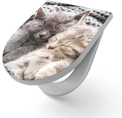 DEQORI Toilettensitz mit Motiv Eingekuschelte Kätzchen | WC Sitz in Weiß aus Duroplast | Format 36,4x45,4 cm – antibakterielle Klobrille für D-Form WC mit Deckel – pflegeleicht & dekorativ