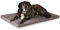 ONVAYA® Hundekissen orthopädisch aus Memory Foam | 95 Grad waschbar | grau | Größe S-XXL | Hundebett | Hundematratze | Hundematte | Liegekissen (L (89 x 60 x 5 cm))