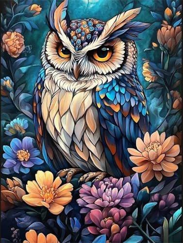 jieyisier Diamond Painting Erwachsene Set,Diamant Painting Bilder Eule,Diamond Painting Set für Erwachsene für Anfänger Zuhause Wanddekoration 12x16 Zoll