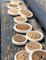 10 bottoni in legno e laccato bianco in vero legno di oliva, 4 fori (14 mm)
