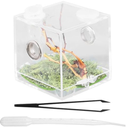 BETOOKY 2×2In Acryl Terrarium für Springspinnen mit Belüftungslöchern Pipette und Pinzette Transparentes Reptilien Terrarium für Terraristik und Insektenhaltung im Innenbereich