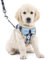 Hundegeschirr Weste Katzengeschirr Air Mesh Hundeweste Harness Weich Komfortable Verstellbar Sicher Kontrolle Welpengeschirr Hunde Laufgeschirre für kleine mittelgroße Hunde und Katzen