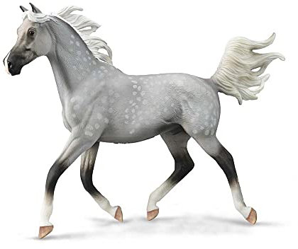CollectA Halb arabischer Hengst in Grau getupft – Deluxe Maßstab 1:12