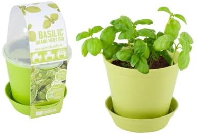 Radis et Capucine - Pot en cloche - Basilic bio