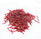 Senven Künstlicher Regenwurm, Biomimetic Soft Silicone Regenwurm Köder Wurm Angelköder Simulation Rote Würmer Kunststoff Grün Umwelt Starke Versuchung Köder Gefälschte Rotwurm - 100Pcs