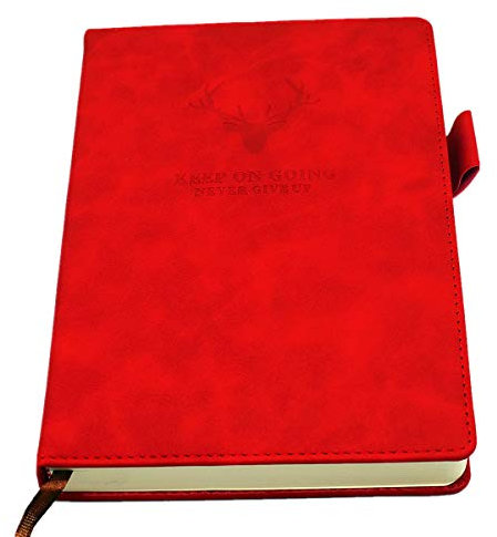 Earning Power Notizbuch A5 liniert,Hardcover Tagebuch Mit 360 Seiten Und 80gsm Premium-Papier. Für Notizen, Planung, Studium, Reisen, Zeichnungen, Skizzen Und Projekte(rot)