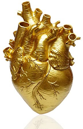 Herz Vase Anatomisches Blumentopf,Dekoration für Wohnzimmer und Schlafzimmer Dekorative Vase