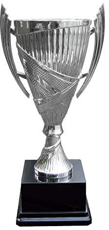 Large Silver Or Gold Presentation Cup Crusader Trophy Multi Award Free Engraving - Enter Your Own Custom Text (Silver)(Silver)