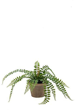 artplants.de Fake plant button fern BELONA in terracotta pot, green, 20/50cm - Artificial fern/Faux fern