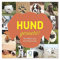 klein & gro Verlag Hund gesucht!: Das Memo-Spiel für Fellnasen-Fans