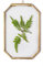 NCYP Cadre flottant en verre octogonal transparent - Décoration murale - Cadre en laiton à suspendre pour présentation, spécimen de plantes séchées, 10,2 x 15,2 cm, Cadre en verre uniquement