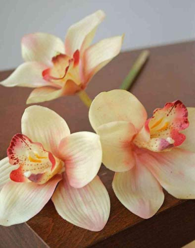 artplants.de Deko Zweig Cymbidium Orchidee Seraphina, gelb-rosa, 45cm - Seidenorchidee - Textilblume
