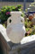 NEU !! Rustikal handgefertigte bauchige Amphore/Vase/Krug ca. 25 cm hoch aus Terrakotta Terrcotta Garten Deko Mediterran Vintage Landhaus