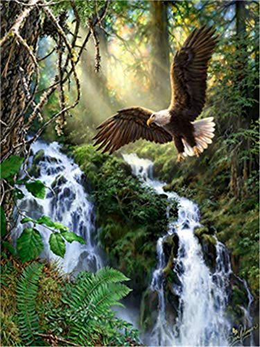 YEESAM ART Neuheiten Malen nach Zahlen Erwachsene Kinder, Wald Sonnenlicht Wasserfall Adler Bäume 40x50 cm Leinen Segeltuch, DIY ölgemälde Weihnachten Geschenke (Adler, Ohne Frame)