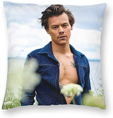 KINGAM Harry Styles Kissenbezug, dekorativer Kissenbezug, Geschenk für Geburtstag, Hochzeit, Paar, Jahrestag, Abschluss, 50 x 50 cm, 20 x 20 cm