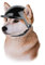 Enjoying Helm für Hunde Motorradhüte mit Ohrlöchern Hundehelm Hund Harte Hut Sicherheit Reiten für Kleine Hunde, Klein