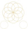 10 Stück 25cm Goldene Metallringe zum Basteln – Robuste Metall Ringe für Traumfänger, Makramee, Floristik, Wickeltechnik, Hochzeitskranz und DIY Deko