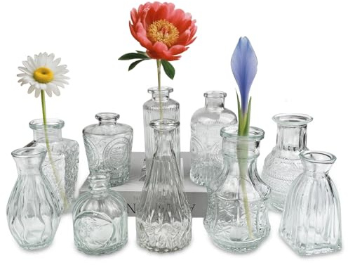 VELLUSTRA Mini Vasen Transparent Set, 10St Kleine Glasvase Deko, Vasen Set Verschiedene Modelle Groessen Blumenvase, für Party, Geburtstag, Home Wohnzimmer, Tisch Deko, Festtagsgeschenk