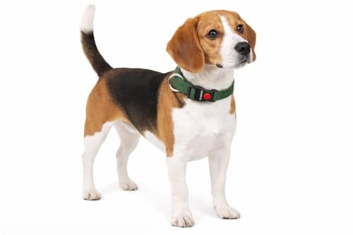 Halsband Hund - ziggi kaki - größe M - 40-55 cm x 20 mm - Nylon hundehalsband verstellbar mit klickverschluss und metallring