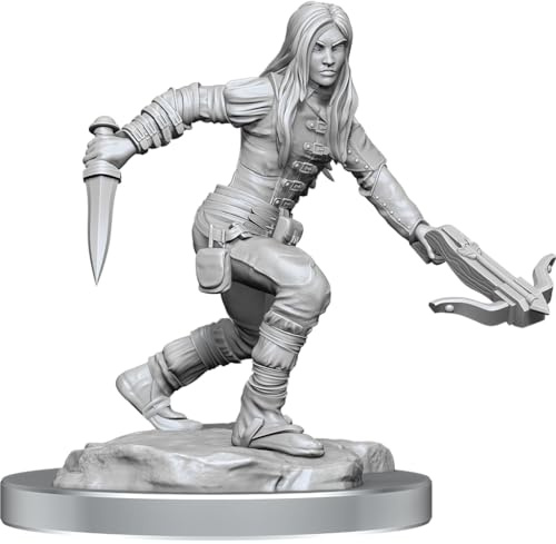 WizKids - D&D Nolzurs Marvelous Miniatures: Half-Elf Rogue Female - Wave 17