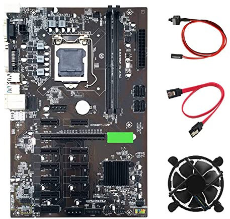 Hanabitx Placa base B250 BTC Mining con ventilador de refrigeración CPU + SATA + de conmutación 12 ranuras para tarjetas XGraphics LGA 1151 para BTC Miner