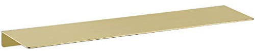 TRUSTMI Wandregale aus gebürstetem Edelstahl, Wandmontage, Organizer für Badezimmer, Küche, Schlafzimmer, Büro, (50,8 x 10,2 cm), gebürstetes Messing