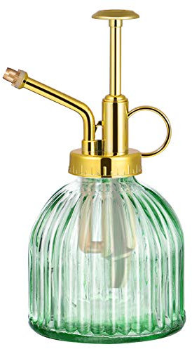 Cabilock Petit Arrosoir Intérieur Petit Vaporisateur D'arrosage Pulvérisation des Plantes Arrosoirs pour Le Jardin Brumisateur d'eau Arrosage des Plantes Arrosoir en Verre Décorer Miniature