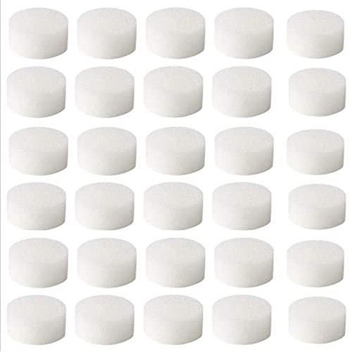 HXHLYH (60 PPI) Éponge de filtre à air, 30 pièces de rechange pour système de compresseur Accessoires de filtre à brume froide Accessoires Filtre à air éponge