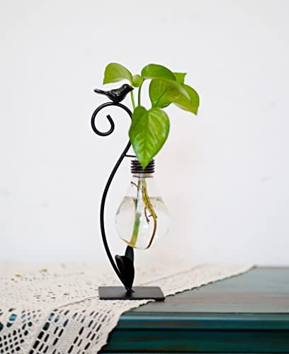 Joyathome Terrarium pour plantes, vases hydroponiques pour plantes, station de propagation pour la décoration de la maison, support de terrarium moderne créatif pour oiseaux, cadeau idéal