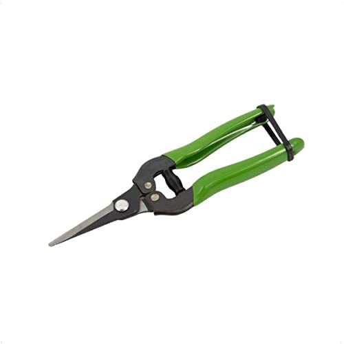 Garten- und Blumenschere aus Karbonstahl - 19 cm Pflanzenschere | Ernteschere mit 7 cm Klinge und Arretierung - Ideal als Trimmschere, Traubenschere oder Floristenschere für Feinschnitt