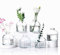 Eidoct Glass Bud Vases Set of 6, Small Bottles for Floral Arrangements, Rustic Decorative Vases for Centerpiece Home Living Room Office Decoration or Wedding Event (Clear)