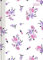 Ladytimer Midi Flowers - Taschenkalender 2024 - Alpha Edition-Verlag - Eine Woche auf 2 Seiten - Buchplaner mit Lesebändchen und Platz für Notizen - Format 12 cm x 17 cm - Buchkalender