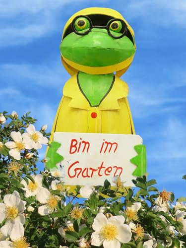 Pommerntraum ® | Zaunhocker Pfostenhocker Zaunfigur Dekorationsfigur Gartendekoration Frosch Frösche Zaundekoration (Bin im Garten)