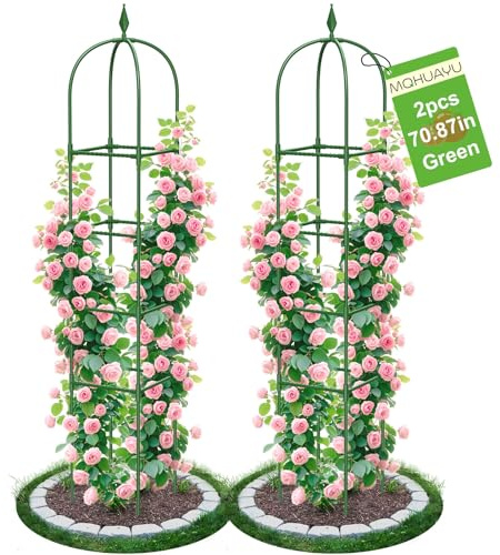 2 Pack Garden Obelisk Trellis for Climbing Plants, 6 FT Metal Rustproof Plant Support Rose Trellis, Tower Potted Cages for Flowers Fruits Vegetable Vines Indoor & Outdoor, Green(4 Tiers)