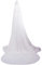 Brautschleier Beige Braut Frauen mit kamm veil Extra lang One Size 3m Schleier weich Hochzeit 2 Schicht für Hochzeit Wedding in Kathedrale schön Elegant Hochzeitsschleier passendes Brautkleid
