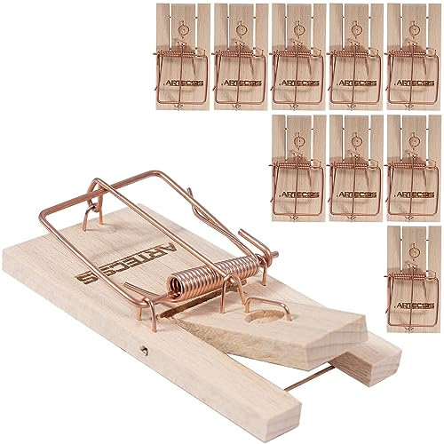 ARTECSIS Juego De Las 10 Ratoneras Maderas con Cebo, Trampas De Ratones, Gran Poder De Impacto, Gran Fuerza, Fácil manejo, Cazar Ratones Eficientemente, White