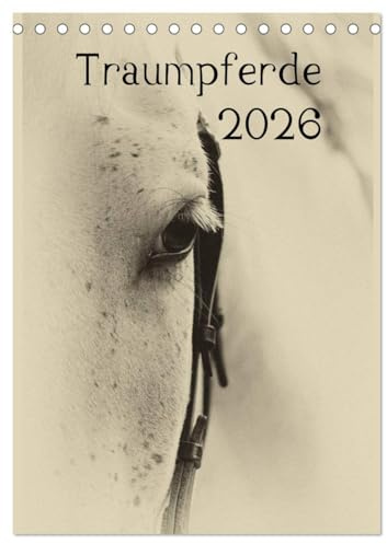 Traumpferde 2026 (Tischkalender 2026 DIN A5 hoch), CALVENDO Monatskalender: Pferdekalender stilistisch bearbeitet (CALVENDO Tiere)