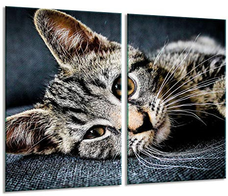 Herdabdeckplatten Ceranfeldabdeckung Spritzschutz Glas 2x30x52 Katze