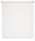 Easydeco Store enrouleur Daylight translucide (Crude, 170 x 250 cm) Taille tissu 166,5 x 250 cm