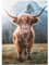 MyPuzzle Hochlandrind in den italienischen Dolomiten - Premium 1000 Teile Puzzle - MyPuzzle Sonderkollektion von Puzzle Galaxy