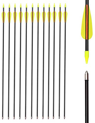 ELONG OUTDOOR 12er Fiberglaspfeil für Bogenschießen, 26 28 30 32 Zoll Bogenpfeile Pfeile Fiberglaspfeil für Sportbogen, Recurvebogen, Langbogen